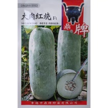 大肉红烧冬瓜种子粉皮烧烤冬瓜种籽果肉厚瓜腔小耐运耐贮高产
