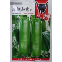 春棚如意露地传奇瓠子瓜种子果皮嫩绿肉质清香早熟瓠瓜种籽