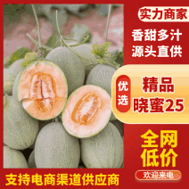 [牛]海南精品晓蜜25号哈密瓜产地直发各大市场商超