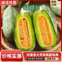 山东寿光新鲜博洋72甜瓜自然成熟一件代发产地直批货源足