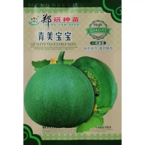 青美宝宝甜瓜种子绿皮绿肉香甜酥脆薄皮香甜瓜种籽绿宝石香味