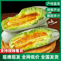 正宗寿光羊角蜜甜瓜一件代发社区团购对接各大电商品质好自然