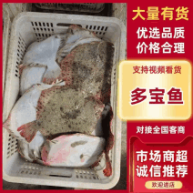 [牛]【多宝鱼】山东烟台多宝鱼比目鱼一手货源现货冻货都有规格齐