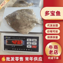 [牛]烟台多宝鱼一手货源量大从优各种等级规格都有承接餐饮酒店