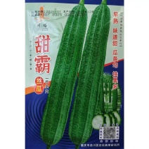 甜霸丝瓜种子优选菱角丝瓜早熟翠绿棱丝瓜种籽八棱丝瓜高产