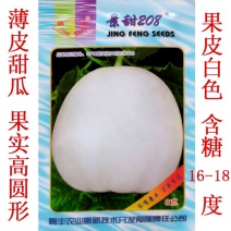 景甜208薄皮白甜瓜种子大棚露地小白瓜白沙蜜种籽脆甜清香