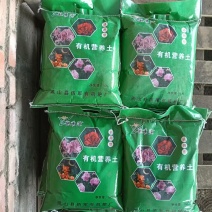 东北优质花卉培育种植营养土欢迎来基地考察订购