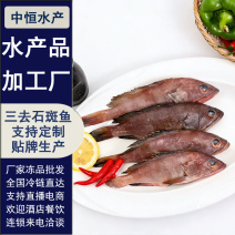 三去石斑鱼批发新鲜免处理1条420g＋袋酒店餐饮食材