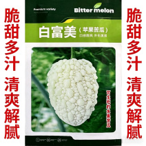 苹果苦瓜种子杂交台湾白苦瓜种籽口感甘脆清爽蔬菜种子