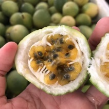 正宗钦蜜9号百香果产地直发一件代发货源充足