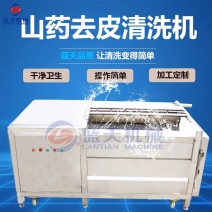 山药去皮清洗机不锈钢山药毛辊清洗机淮山药山药豆清洗设