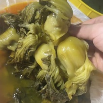 【好评超多】安徽现腌荠菜大量供应口感每位质量保证