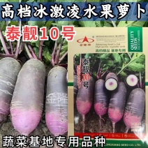 泰靓10号冰激凌萝卜种子杂交甜脆秋播紫皮冰淇淋水果萝卜种