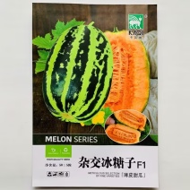 杂交冰糖子甜瓜种子早熟高产抗病薄皮香瓜香甜爽脆甜瓜种籽