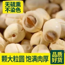 批发价无芯白莲子袋装干货土特产莲米粉糯煲汤不磨皮
