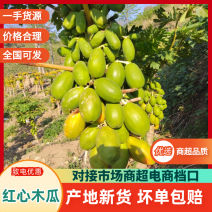 【一手货源】云南红心木瓜牛奶木瓜现采现发一件代发包邮批发