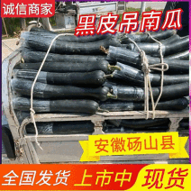 【黑皮吊南瓜】菜南瓜/吊南瓜/黑皮南瓜/砀山南瓜/发全国