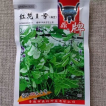 鼎牌红花1号扁豆种子基部开始结荚重复结荚高产棚室露地种植
