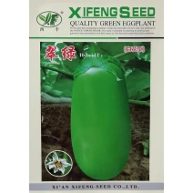 白花翠绿茄子种子果肉白色肉质细嫩籽少果大高产青茄种籽