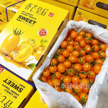 广东电白千禧圣女果供应链中心产地直发社区团购商超市场