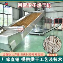 网带麦冬烘干机麦门冬川麦冬寸冬烘干设备麦冬烘烤机