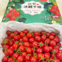 广东电白千禧圣女果一手货源电商供货B2B商超社区市场