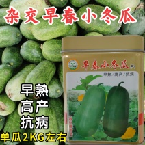 早春小冬瓜种子杂交粉皮白皮小冬瓜迷你冬瓜水果冬瓜种子籽孑