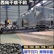 网带水果烘干机西梅青梅烘干设备蓝莓山楂杏干李子烘干流水线
