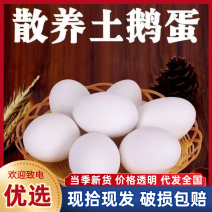 【破损包赔】农家散养土鹅蛋新鲜现捡土鹅蛋批发整箱土鹅蛋