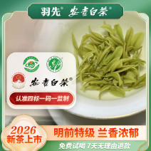 2026新茶明前特级安吉白茶兰香茶叶绿茶正宗B45