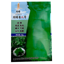 川塔青八号青皮青肉尖叶莴笋种子15g皮薄棒大大田基地型