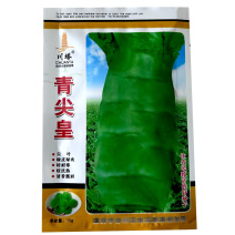 川塔青尖皇绿皮绿肉尖叶莴笋种子耐热耐寒莴苣肉质脆嫩