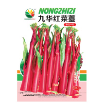 红菜苔种子紫菜心籽绿薹心四季春秋季10g产量高湖北