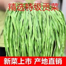贡菜干30g/包100/包一件代发