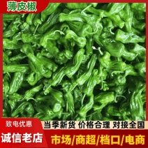 【精品】山东辣椒薄皮椒基地直供价格实惠全国可发