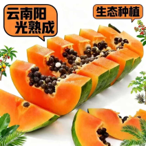 云南精品木瓜红心木瓜承接全国电商平台一件代发