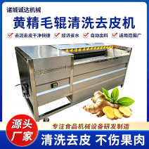 黄精加工全套设备全自动黄精清洗流水线毛辊+气泡清洗