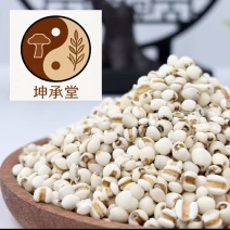 薏苡仁