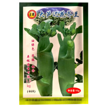 芥兰种子大笋迟花芥兰中晚熟耐寒白花大田基地型