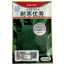 耐寒优秀西兰花种子青花菜种子一代交配原装2000粒耐寒