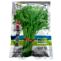 青香光杆茼蒿种子生快速清香耐热耐寒产量高大田基地型