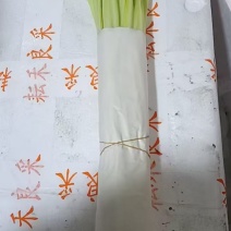 云南精品韭黄，产地直发，量大从优，对接各大批发市场等