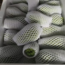 佛手瓜