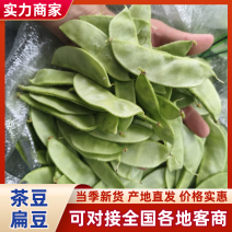 【实力推荐】江苏茶豆/扁豆//视频看货/对接商超批发市场