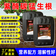 【正品】紫酶碳生根剂快速生根提苗改良土壤