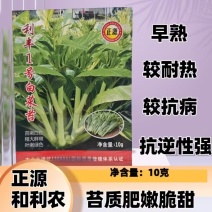 利丰1号白菜苔种子菜苔早熟45天四季耐热抗病苔粗基地用