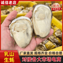 生蚝，乳山生蚝大连三倍体全国各地可发可视频看货