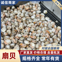 8斤原汁扇贝肉，高品质，大小均匀，不跳号，品牌保障