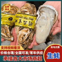 生蚝，乳山生蚝大连生蚝烧烤酒店自助餐全国发货欢迎咨询来电