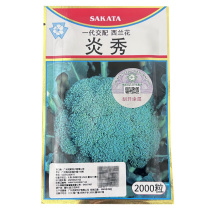 炎秀西兰花种子2000粒中熟耐热青花菜蔬菜种籽春秋季